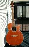 Takamine TDP500SP.jpg